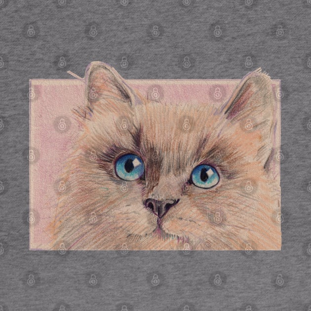 Himalayan Kitty by HelenDBVickers